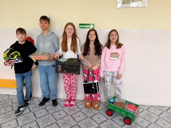 WhatsApp Image 2026-04-01 at 12.33.52.jpeg