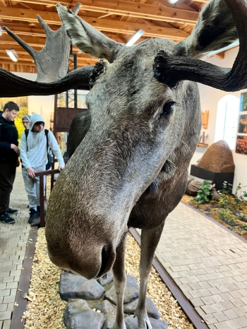 WhatsApp Image 2026-04-22 at 15.33.49 (4).jpeg