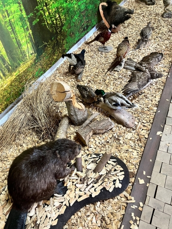 WhatsApp Image 2026-04-22 at 15.33.50 (1).jpeg