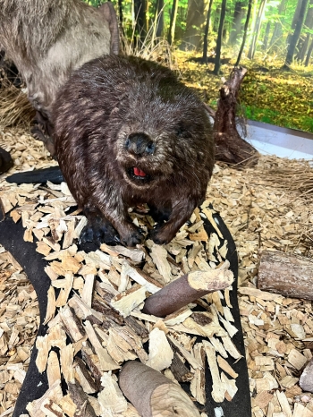 WhatsApp Image 2026-04-22 at 15.33.50 (2).jpeg