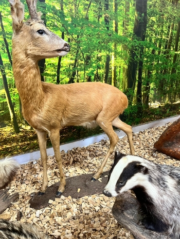 WhatsApp Image 2026-04-22 at 15.33.50 (3).jpeg