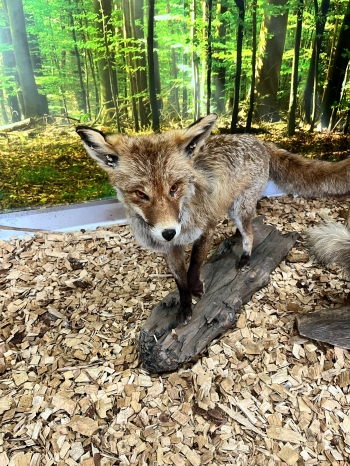 WhatsApp Image 2026-04-22 at 15.33.50 (4).jpeg