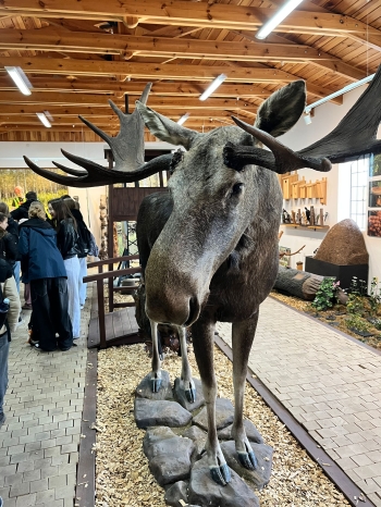 WhatsApp Image 2026-04-22 at 15.33.50.jpeg