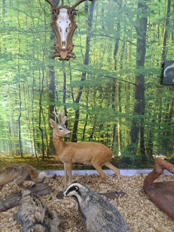 WhatsApp Image 2026-04-22 at 15.37.36.jpeg