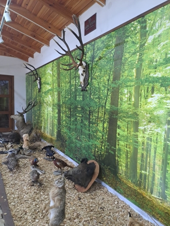 WhatsApp Image 2026-04-22 at 15.37.37.jpeg