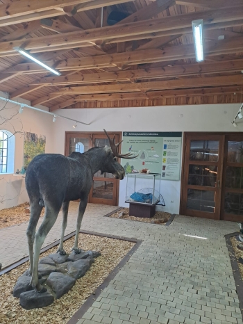 WhatsApp Image 2026-04-22 at 15.37.38.jpeg