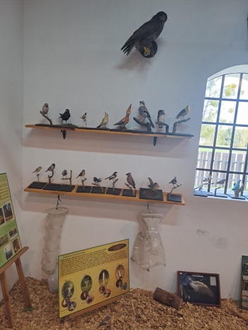 WhatsApp Image 2026-04-22 at 15.37.50.jpeg