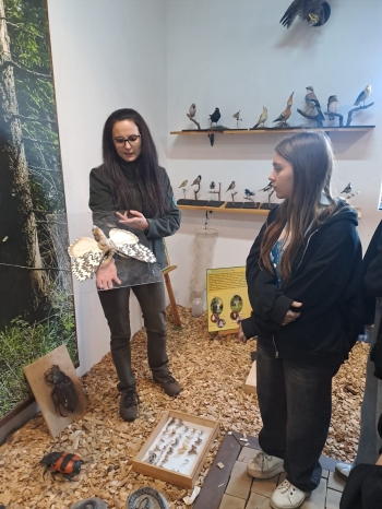 WhatsApp Image 2026-04-22 at 15.37.53.jpeg