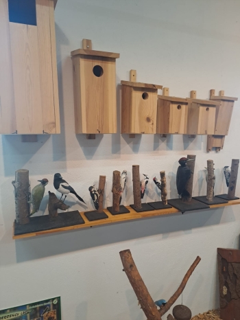 WhatsApp Image 2026-04-22 at 15.41.10.jpeg