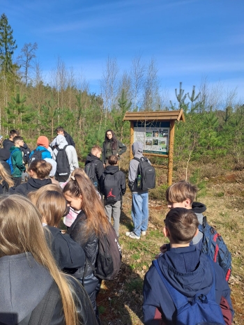 WhatsApp Image 2026-04-22 at 15.41.36.jpeg