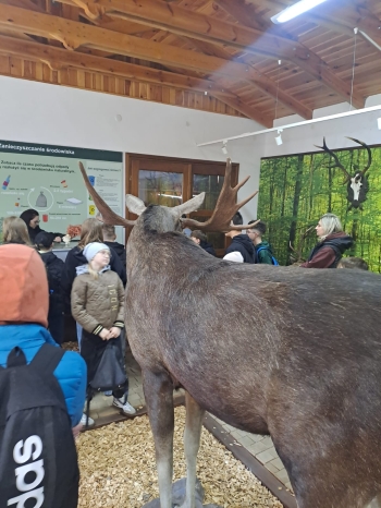 WhatsApp Image 2026-04-22 at 15.41.51.jpeg