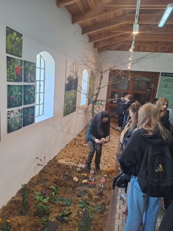 WhatsApp Image 2026-04-22 at 15.41.52.jpeg