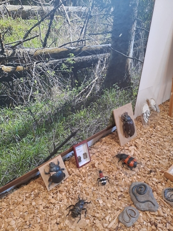 WhatsApp Image 2026-04-22 at 15.41.52 (1).jpeg