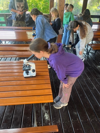 IMG-20260602-WA0017