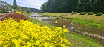 IMG-20260610-WA0002