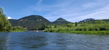 IMG-20260610-WA0011