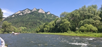 IMG-20260614-WA0011