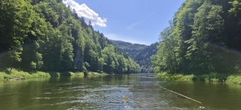 IMG-20260614-WA0017
