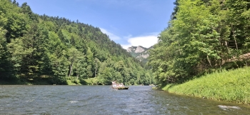 IMG-20260614-WA0019