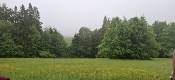 IMG-20260614-WA0049