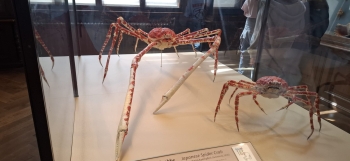 IMG-20260614-WA0090