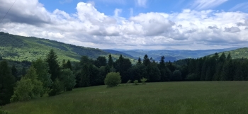 IMG-20260614-WA0153